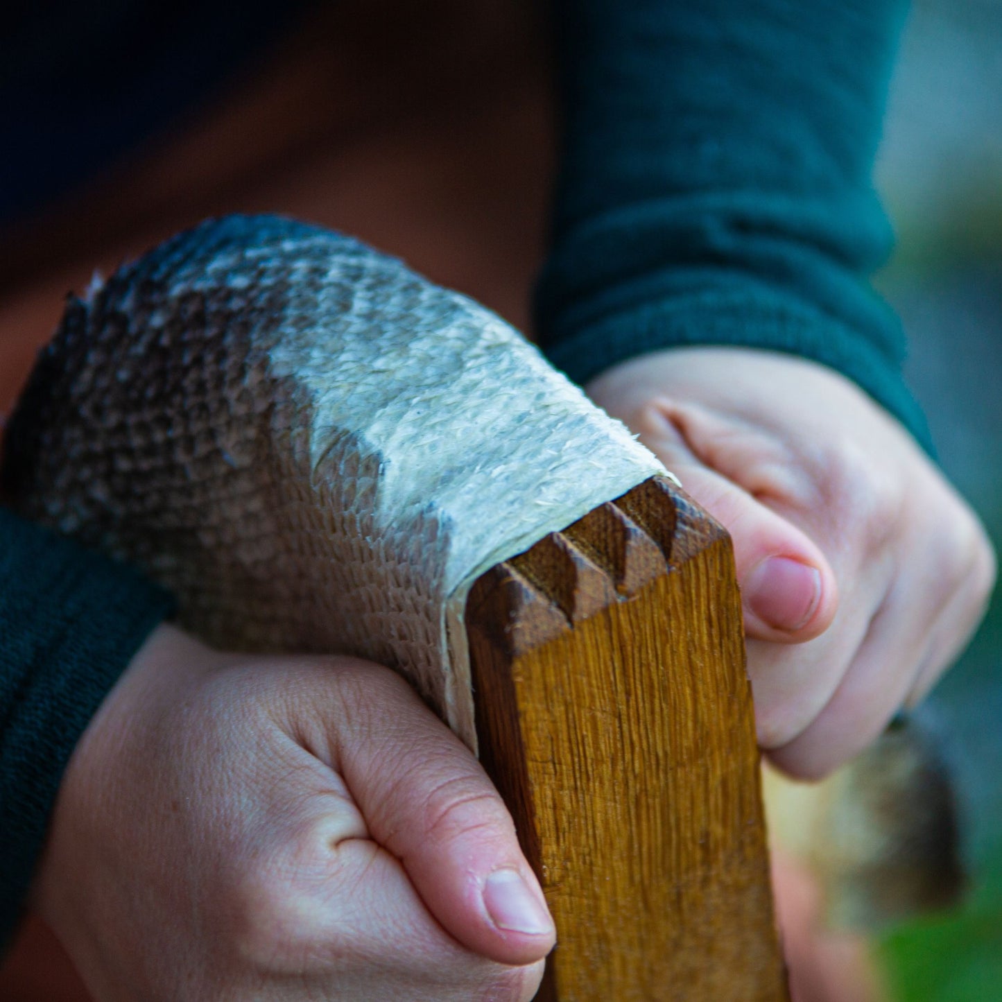 Fish Leather - The Forgotten Treasures of Our Waters