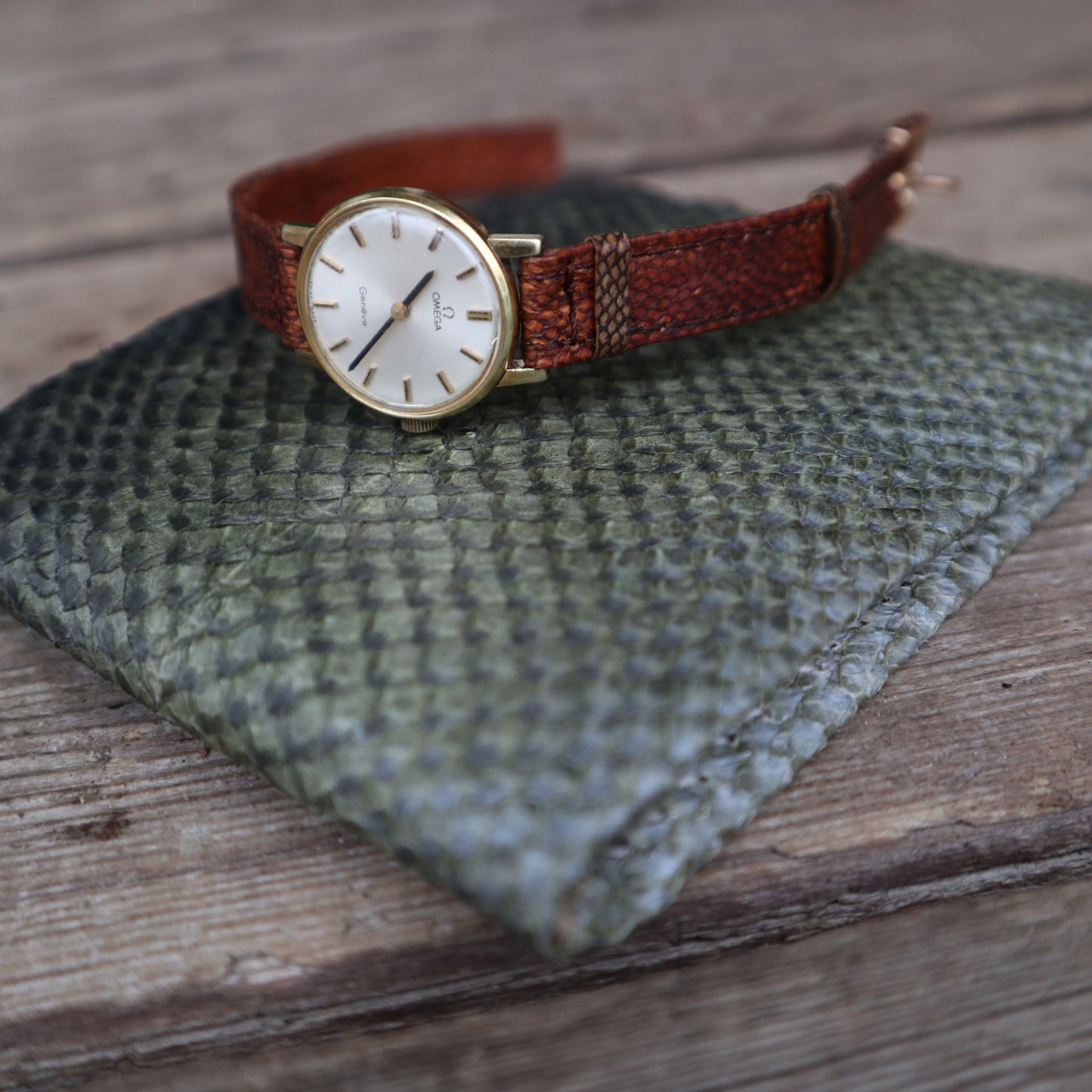 Fish Leather - The Forgotten Treasures of Our Waters