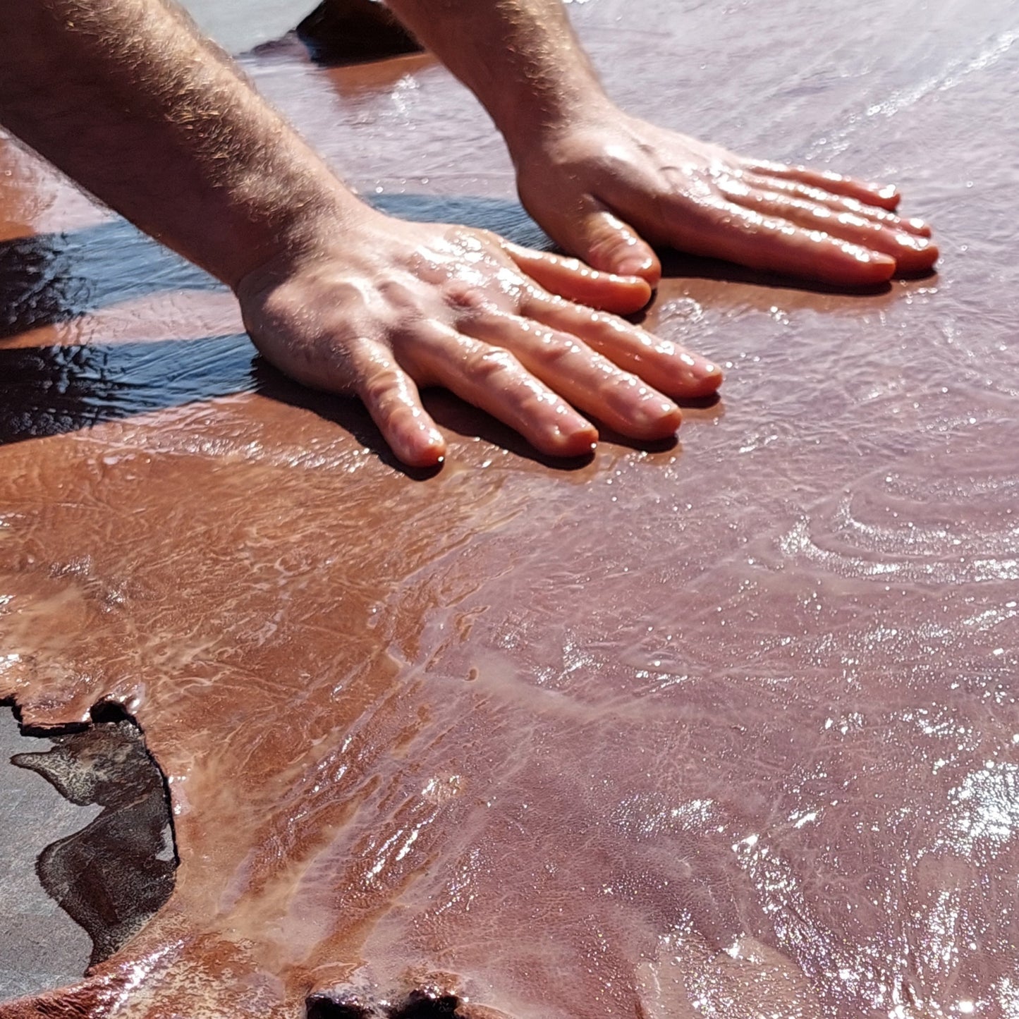 Tanning Game - Traditional Nordic Tanning Methods for Leather and Furs
