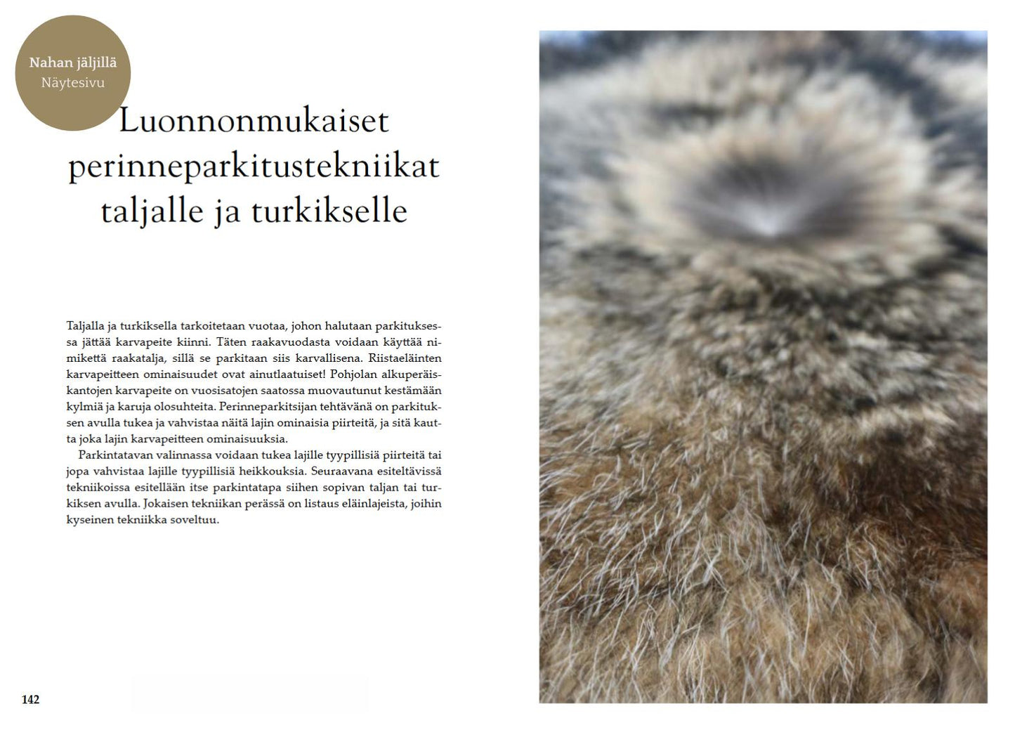Nahan jäljillä - Metsän unohdetut aarteet